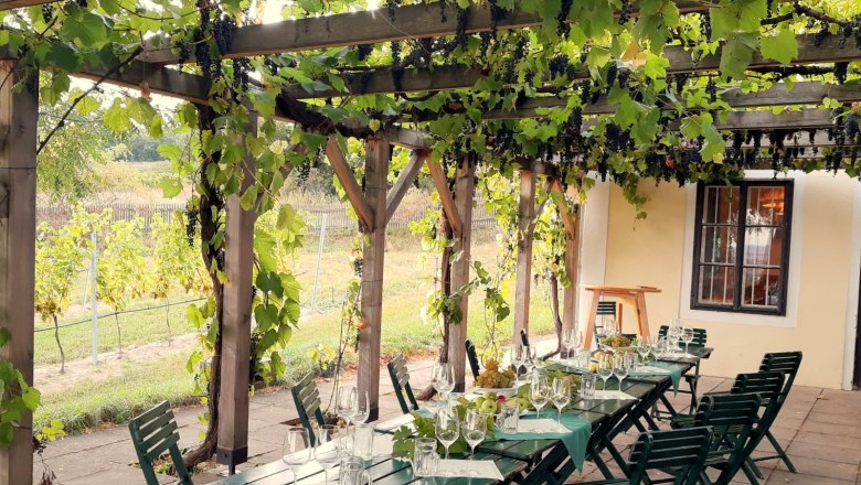 Celebrate at Altenberg, © Landesweingut Retz Table set under a pergola with vines.