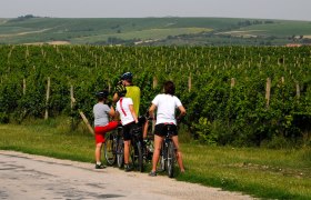 Radfahren im Weinviertel, © © WTG, Mandl Radfahren im Weinviertel, © © WTG, Mandl