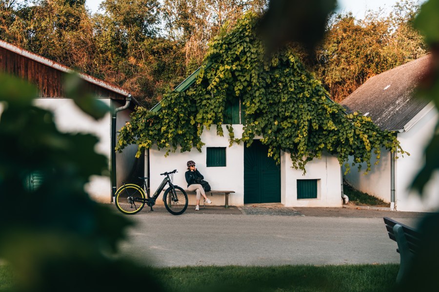Radfahren im Weinviertel, © Weinviertel Tourismus / Romeo Felsenreich