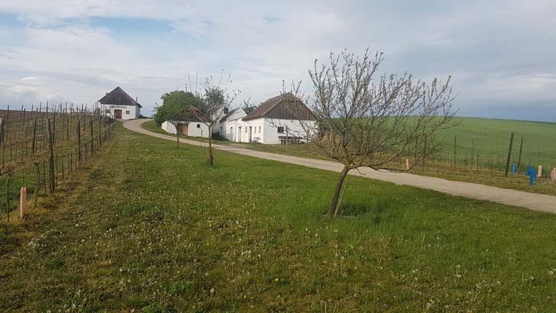 Radler- und Wanderrast Hart-Aschendorf, © Familie Pamperl Radler- und Wanderrast Hart-Aschendorf, © Familie Pamperl