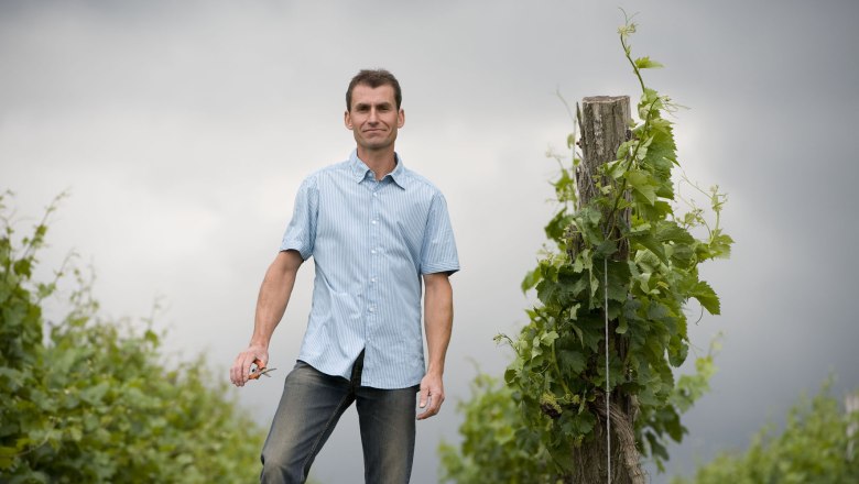 Im Weingarten, © Michael Himml Ein Mann steht in einem Weinberg mit einer Rebschere in der Hand.