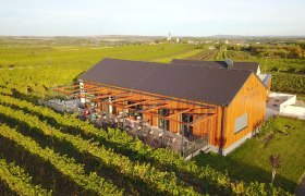 Weinterrasse Pulkau, © Weinterrasse Pulkau Weinterrasse Pulkau, © Weinterrasse Pulkau