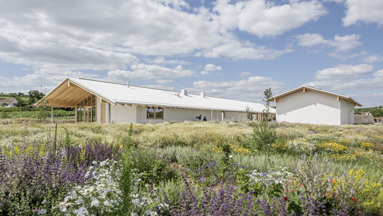 Tafeln im Weinviertel, © Hertha Hurnaus / AC Original Ein modernes Gebäude mit weißem Dach inmitten einer blühenden Wiese unter blauem Himmel.