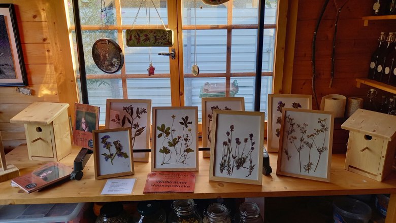 Naturkunde Hexengarten, © "Natur im Garten" Ein Tisch in einer Holzhütte mit gerahmten getrockneten Pflanzen, Vogelhäusern und Gläsern mit Kräutern.