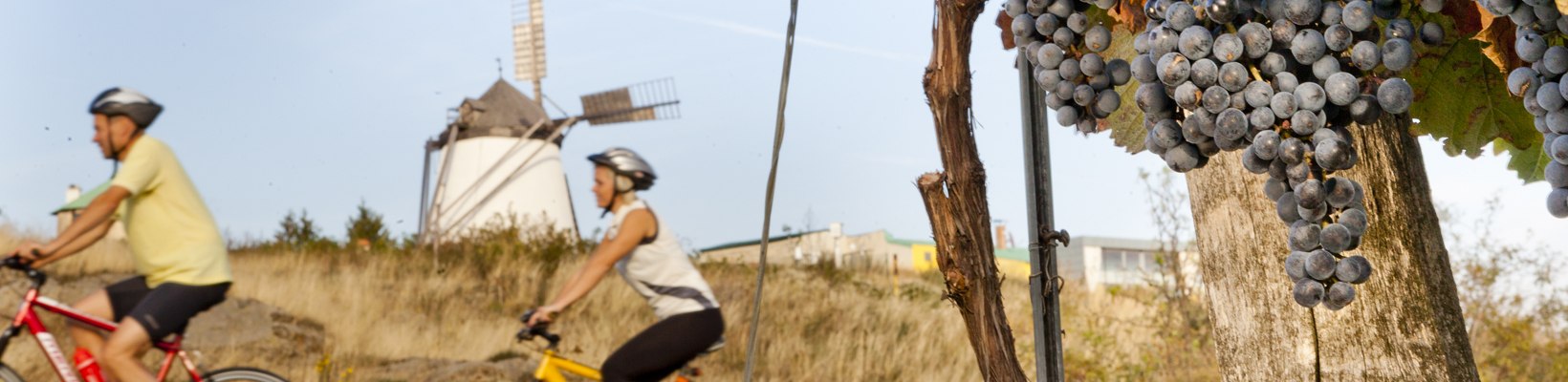 Radfahren im Retzer Land, © Retzer Land / Astrid Bartl Radfahren im Retzer Land, © Retzer Land / Astrid Bartl