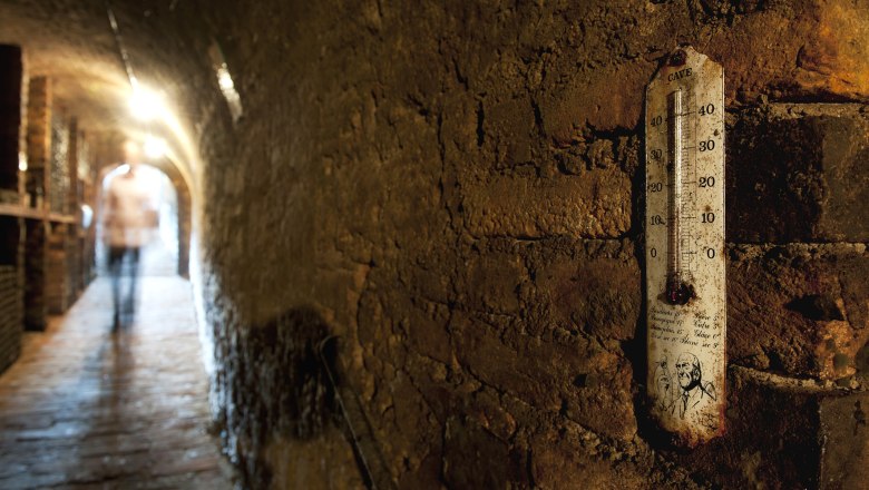 In the cellar, © Martinshof An old wine cellar with a thermometer on the wall and a blurred person in the background.