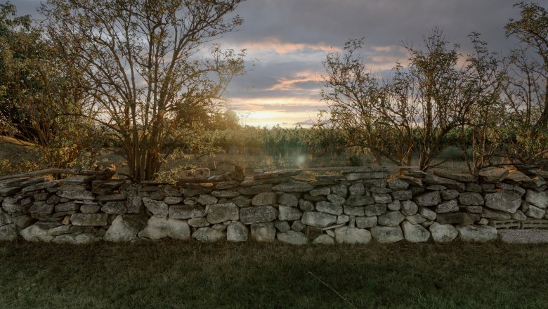 Natursteinmauer im Garten, © Weinakademie Retz Natursteinmauer im Garten mit Bäumen im Hintergrund bei Sonnenuntergang.