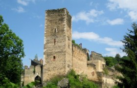 Burgruine Kaja, © Burgruine Kaja Ruine der Burg Kaja inmitten von Bäumen und unter blauem Himmel.
