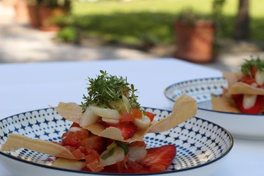 wo die frischen Früchte zu sommerlichen Salaten, © Weinviertel Tourismus wo die frischen Früchte zu sommerlichen Salaten, © Weinviertel Tourismus