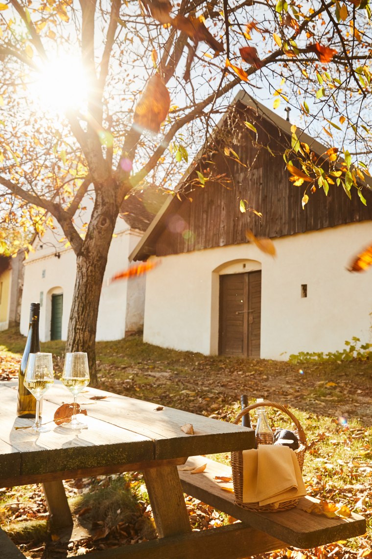 Kellerdorf Loamgrui in Unterstinkenbrunn, © Weinviertel Tourismus / Michael Liebert Kellerdorf Loamgrui in Unterstinkenbrunn, © Weinviertel Tourismus / Michael Liebert