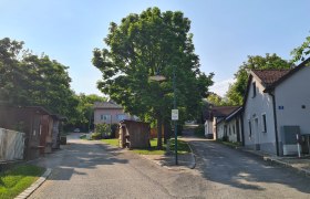 Kellergasse Großrußbach, © Paul Gepp Eine ruhige Straße mit Bäumen und Häusern in einem Dorf bei sonnigem Wetter.