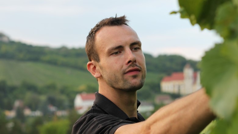 Winemaker Philipp Jauk, © Weingut P. Jauk A man in a vineyard inspecting grapes, with a picturesque landscape in the background.