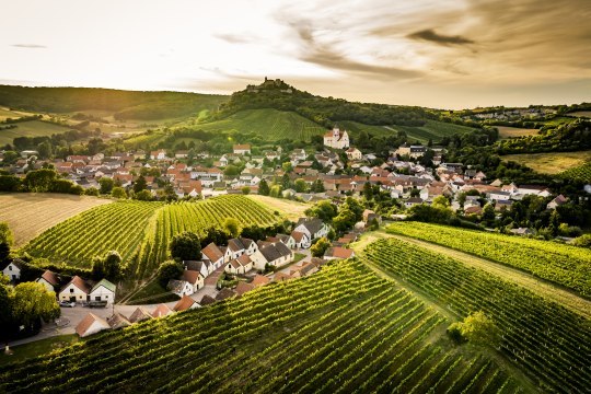 Das größte Weinanbaugebiet Österreichs, © Niederösterreich Werbung / Robert Herbst