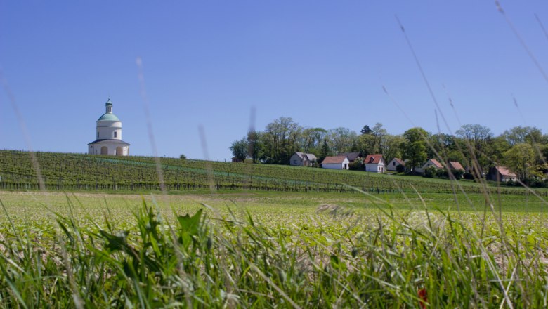 Die Natur genießen, © Fam. Lobner Landschaft mit Kapelle, Weinbergen und Häusern unter blauem Himmel.