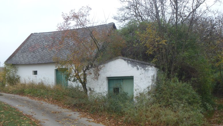 Wine cellar lane Ollersdorf, © Jutta Friedrich An old, white building with a green gate and roof in a rural setting, surrounded by trees and autumn leaves on the ground.