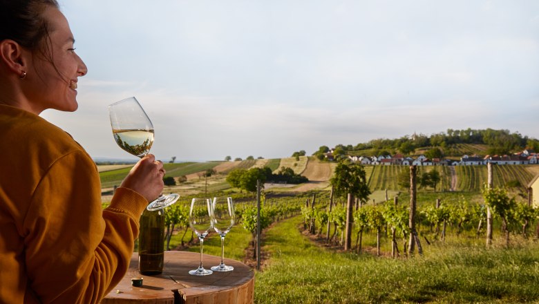 1. Weinviertler Weintourismuskongress: 23. November 2022, © Weinviertel Tourismus / Michael Liebert 1. Weinviertler Weintourismuskongress: 23. November 2022, © Weinviertel Tourismus / Michael Liebert