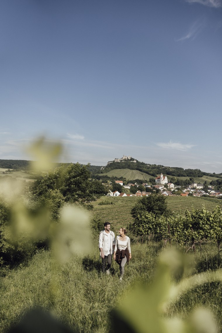 Weinwandern in Falkenstein, © Weinviertel Tourismus / Sophie Menegaldo Weinwandern in Falkenstein, © Weinviertel Tourismus / Sophie Menegaldo