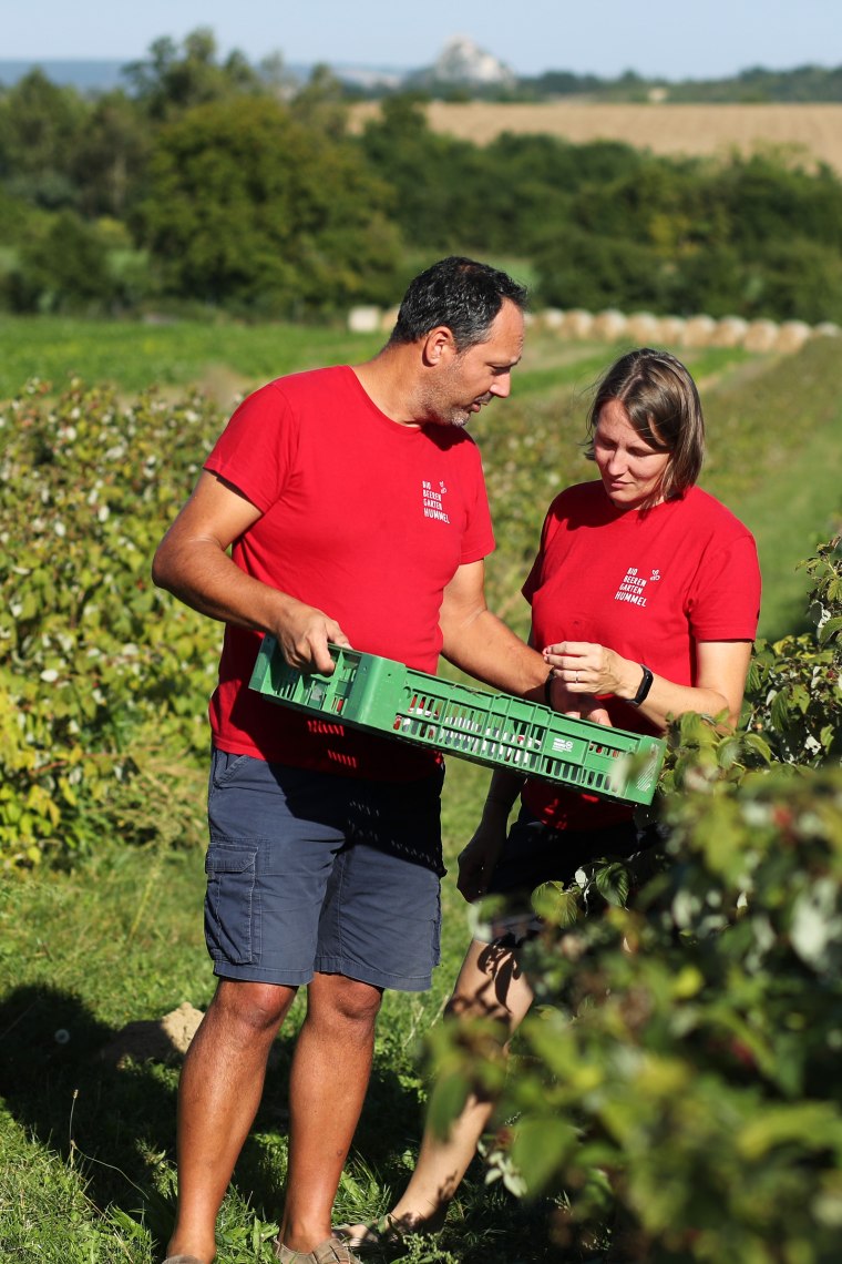 Biobeerengarten Hummel, © Biobeerengarten Hummel Biobeerengarten Hummel, © Biobeerengarten Hummel