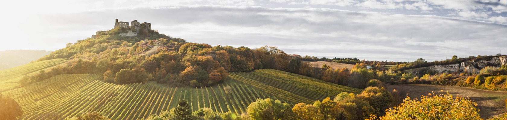 zřícenina hradu Falkenstein, © Niederösterreich Werbung / Michael Liebert zřícenina hradu Falkenstein, © Niederösterreich Werbung / Michael Liebert