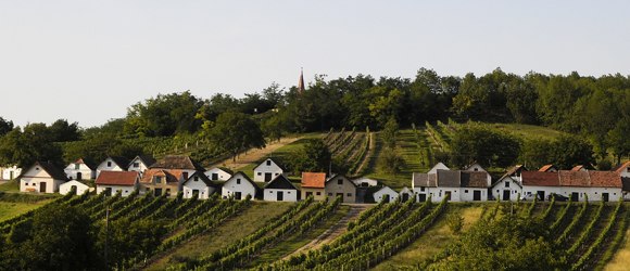 Kellergasse Galgenberg in Wildendürnbach, © Weinviertel Tourismus / Mandl