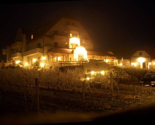 Hotel Neustifter, © hotel-neustifter.at Hotel Neustifter, © hotel-neustifter.at