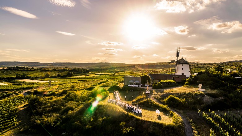 Das Weinviertel erleben, © Weinviertel Tourismus / Herbst Das Weinviertel erleben, © Weinviertel Tourismus / Herbst