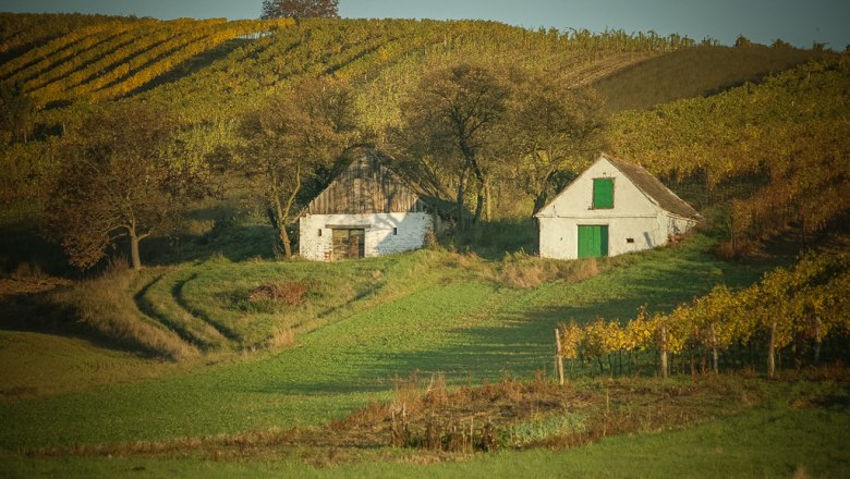 Weinviertler Landschaft, © Weinrieder Zwei kleine weiße Gebäude inmitten von Weinbergen und grünen Feldern.