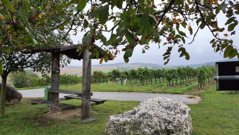 Rastplatz Siebenbergeblick, © Gemeinde Gaubtisch Ein Rastplatz mit Holzbänken und einem großen Stein in einem Weinberg, umgeben von grünen Reben und Bäumen.