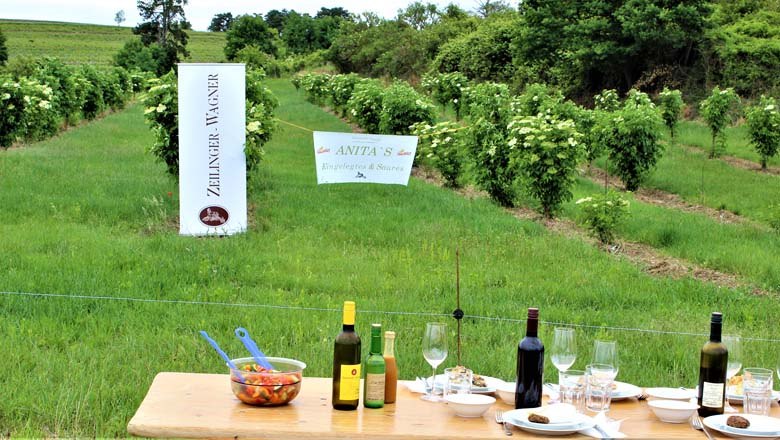 Holler Picknik, © Familie Zeilinger-Wagner Holler Picknik, © Familie Zeilinger-Wagner