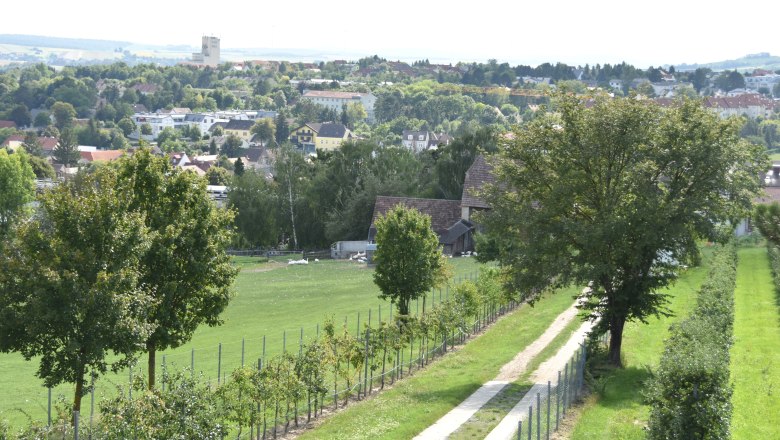 Dionysus Way, © Stadtgemeinde Mistelbach / Mark Schönmann Landscape with path, trees and town in the background.
