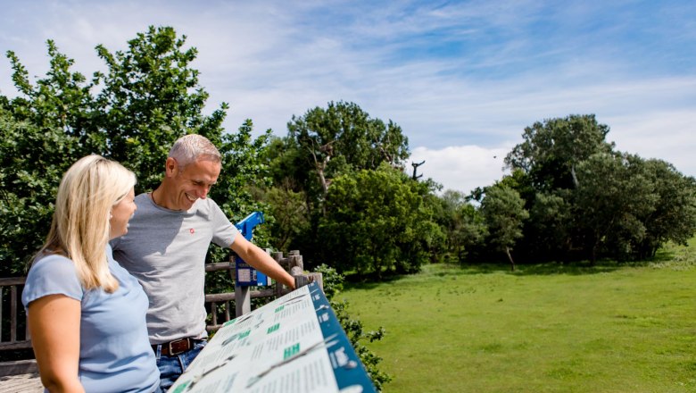 Stork platform view, © Schwarz Koenig Sinzinger Stork platform view, © Schwarz Koenig Sinzinger