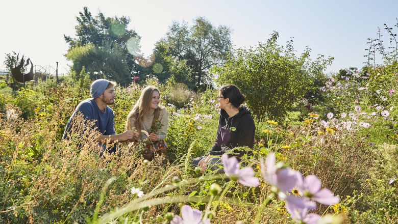 Erlebnis „Vom Feld ins BioKistl“ am ADAMAH Bio-Hof in Glinzendorf, © Weinviertel Tourismus / Michael Liebert Erlebnis „Vom Feld ins BioKistl“ am ADAMAH Bio-Hof in Glinzendorf, © Weinviertel Tourismus / Michael Liebert
