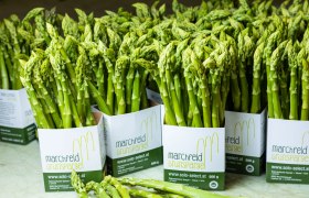 Grüner Spargel, Spargelhof Magoschitz, Mannsdorf/Donau, © Spargelhof Magoschitz Grüner Spargel, Spargelhof Magoschitz, Mannsdorf/Donau, © Spargelhof Magoschitz