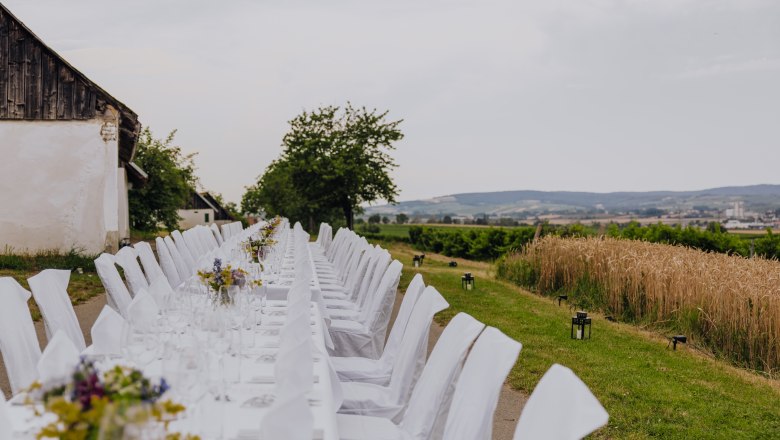 Tafeln im Weinviertel, © Weinviertel Tourismus GmbH / Creating Click Langer, festlich gedeckter Tisch im Freien neben einem Feld.
