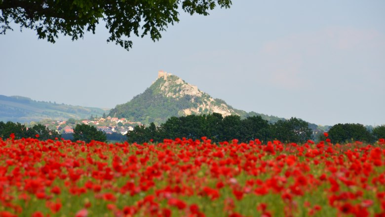 Staatzer Berg, © Erwin Kober Staatzer Berg, © Erwin Kober