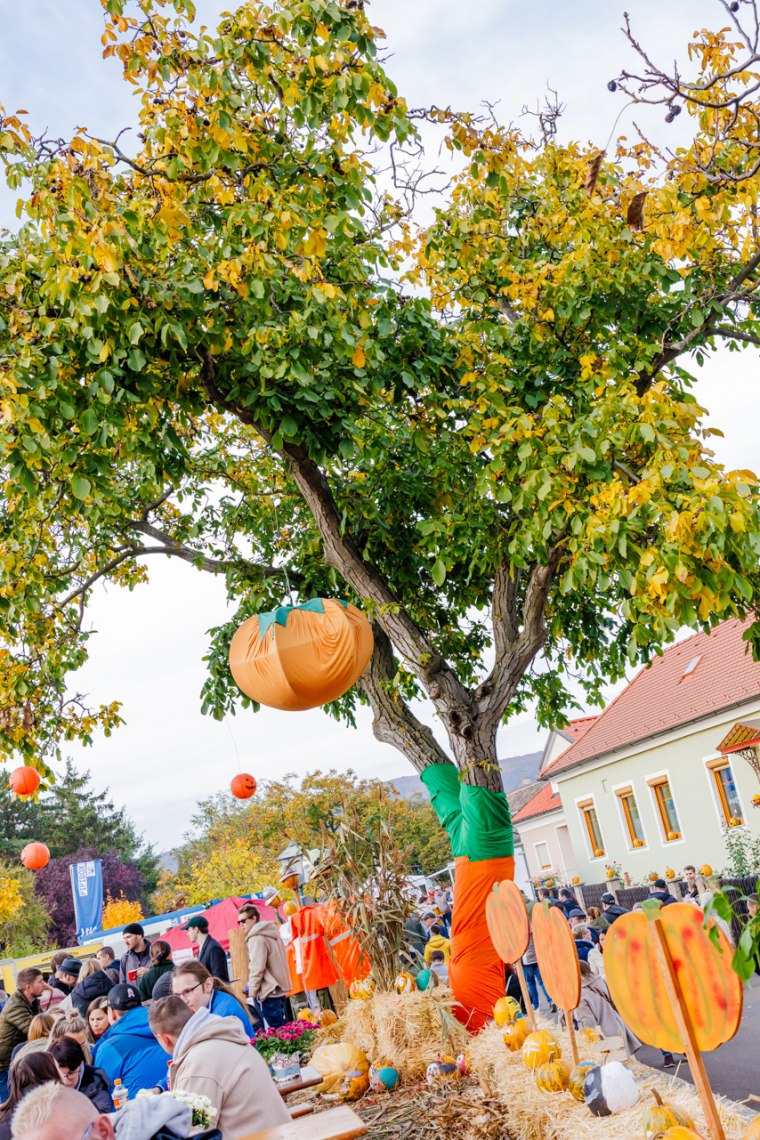Kürbisfest, © Peter Buchgraber - www.fotobuchgraber.at Kürbisfest, © Peter Buchgraber - www.fotobuchgraber.at