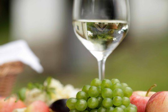 Zahlreiche Winzer, © Weinviertel Tourismus / Wurnig Zahlreiche Winzer, © Weinviertel Tourismus / Wurnig