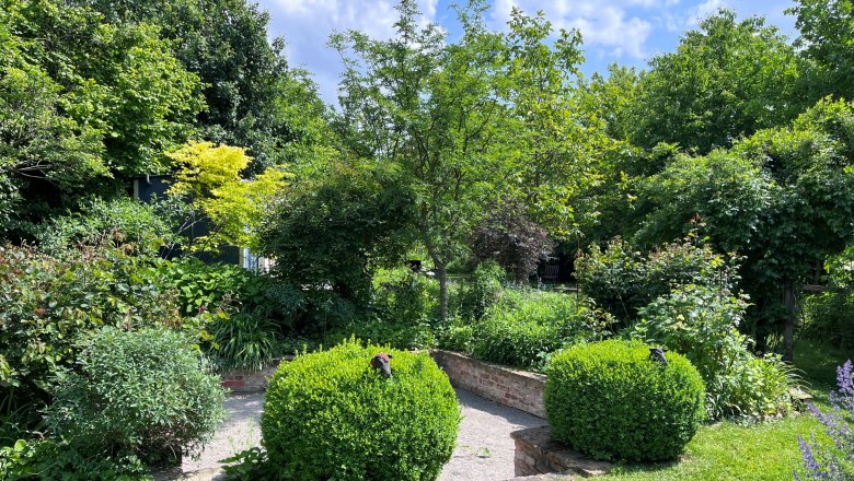 Schaugarten Wilde Wiese, © "Natur im Garten" Ein grüner Schaugarten mit Büschen, Bäumen und einem gepflasterten Weg.
