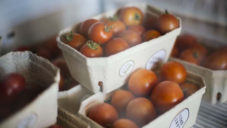 Paradeiser aus dem Weinviertel, © Landspeis Paradeiser aus dem Weinviertel, © Landspeis