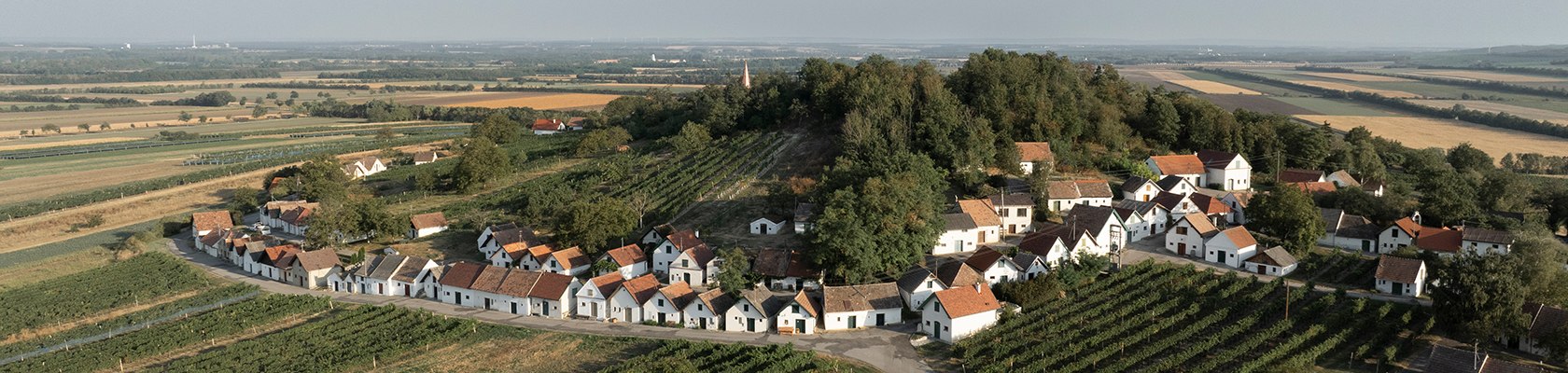 Kellergasse Galgenberg (Wildendürnbach), © Weinviertel Tourismus / Markus Frühmann Kellergasse Galgenberg (Wildendürnbach), © Weinviertel Tourismus / Markus Frühmann
