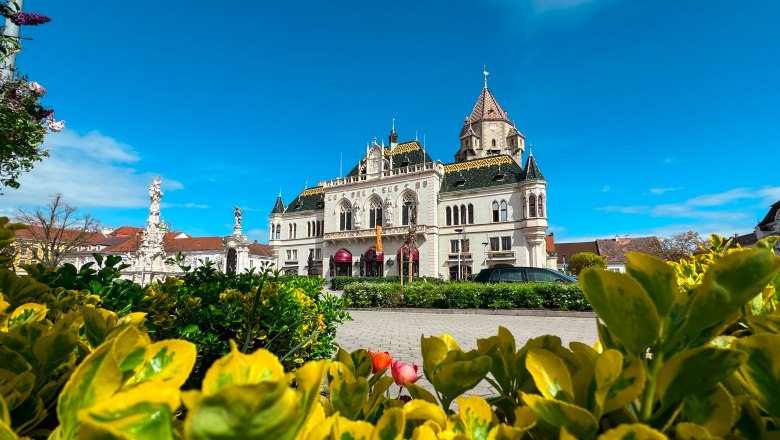 Rathaus Korneuburg, © Daniel Schenter, Stadtgemeinde Korneuburg Das Rathaus von Korneuburg mit blühenden Pflanzen im Vordergrund und einem klaren blauen Himmel.