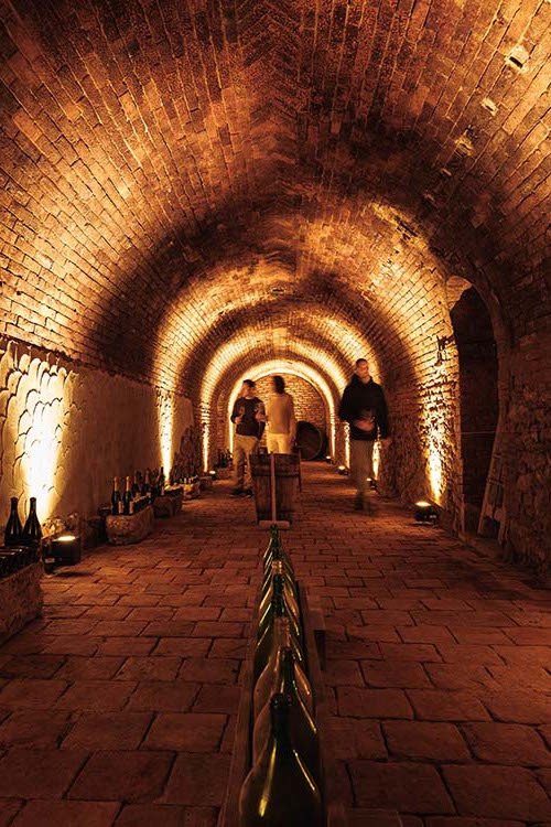 Bio.Weingut Gruber Röschitz, © Michael Reidinger Bio.Weingut Gruber Röschitz, © Michael Reidinger