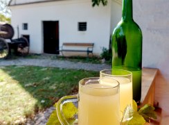 Sturmfest in Poysdorf, © VinoVersumPoysdorf - Rommer Sturmfest in Poysdorf, © VinoVersumPoysdorf - Rommer