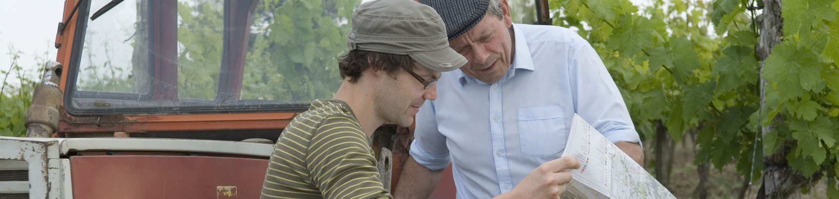 Tipp vom Winzer, © Weinviertel Tourismus / Himml Tipp vom Winzer, © Weinviertel Tourismus / Himml