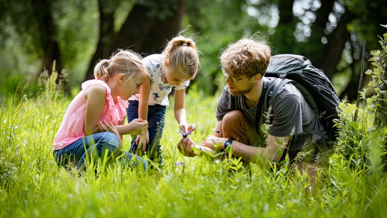 Die Auwiesen entdecken, © Weinviertel Tourismus / Schwarz-König und Sinzinger Die Auwiesen entdecken, © Weinviertel Tourismus / Schwarz-König und Sinzinger