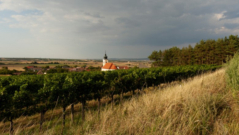 Blick über Ebersbrunn, © Michael Himml Landschaft mit Kirche, Weinreben und Wolkenhimmel.