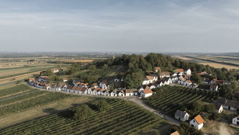 The Galgenberg in Wildendürnbach, © Weinviertel Tourismus GmbH / Frühmann Aerial view of the Galgenberg wine cellar lane in Wildendürnbach with vineyards and small houses.