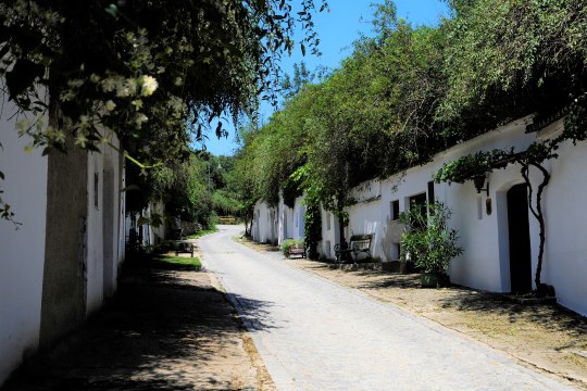 Idyllische Kellergassen, © Weinviertel Tourismus / Mandl Idyllische Kellergassen, © Weinviertel Tourismus / Mandl