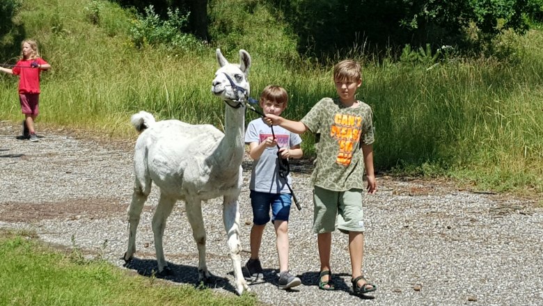 Walk with the llamas, © AWA-Erlebnispark GmbH Walk with the llamas, © AWA-Erlebnispark GmbH