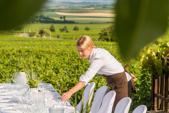Tafeln mit Blick ins weite Land, © Weinviertel Tourismus / Blaha Tafeln mit Blick ins weite Land, © Weinviertel Tourismus / Blaha